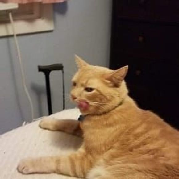 Meet your Posher, Jerid - Picture 1 of 1